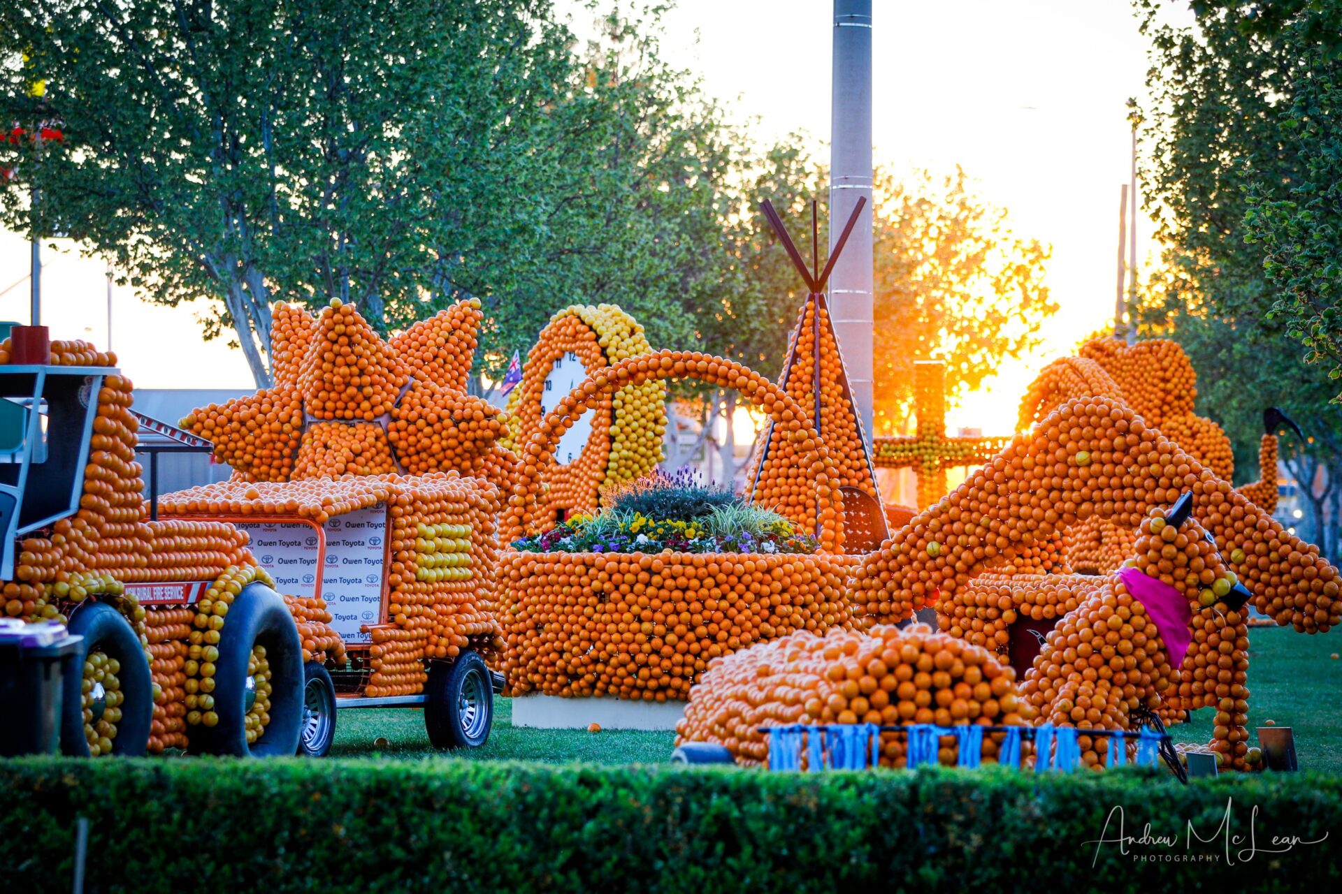 sculptures made of oranges